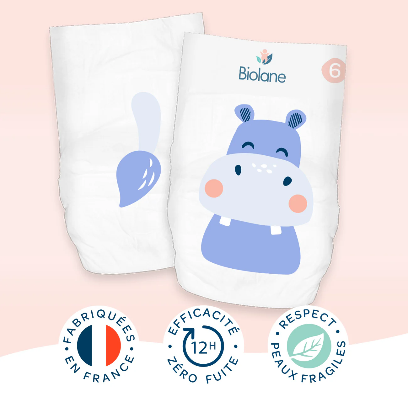 Taille 6 - Image 2